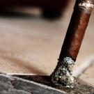 Ash on Canvas